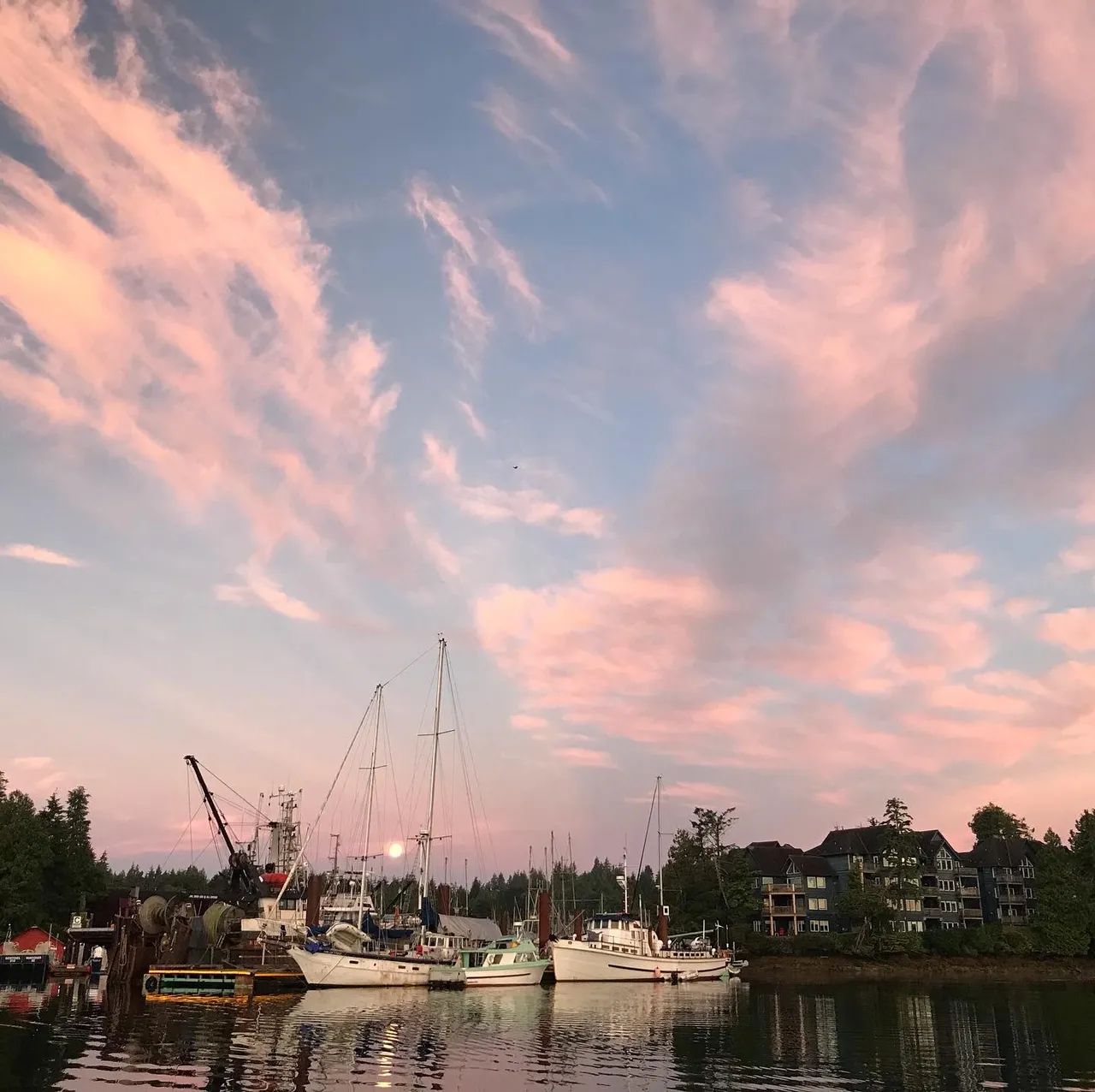 Harbor scene at sunset with boats docked, pink clouds, calm water, and shoreline buildings.